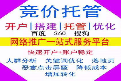 SEM托管实战案例：助力企业品牌形象塑造